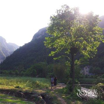 宜昌车溪翠谷山居酒店提供图片