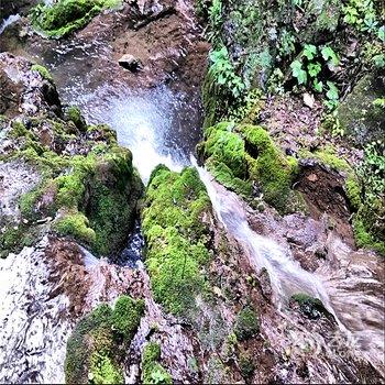 平顶山斯维登温泉度假公寓(尧山香格里拉)酒店提供图片