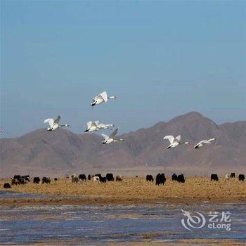 共和青海湖国际青年旅舍酒店提供图片