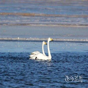 共和青海湖国际青年旅舍酒店提供图片