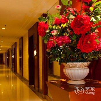 海南绿佳源精品酒店酒店提供图片