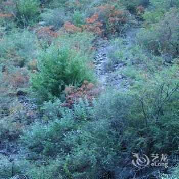 理县映山红酒店酒店提供图片