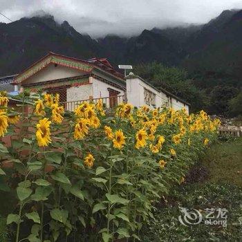 林芝波密悠游道木屋酒店酒店提供图片