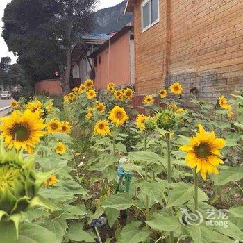 林芝波密悠游道木屋酒店酒店提供图片