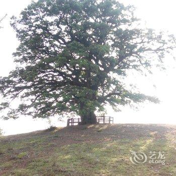 昆明东川红土地三和旅游接待酒店提供图片