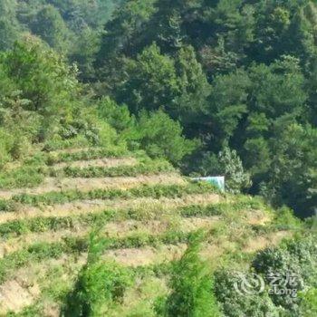 天柱山老班长农家乐酒店提供图片