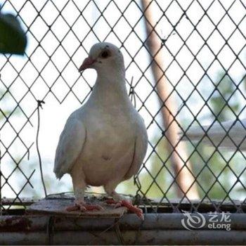 北镇清福湾山庄酒店提供图片