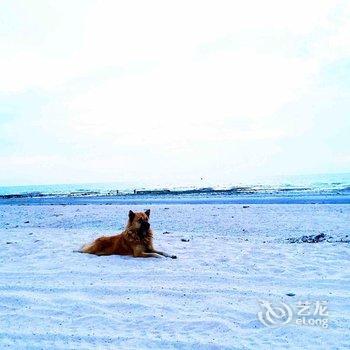 涠洲岛南湾全海景家庭旅馆





全海景家庭旅馆酒店提供图片