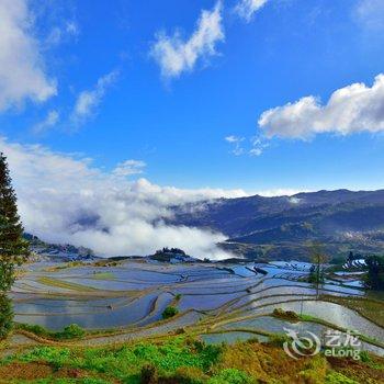 元阳路晟阳光客栈酒店提供图片