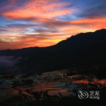 元阳路晟阳光客栈酒店提供图片