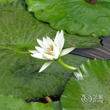 花莲吉安笠园酒店提供图片