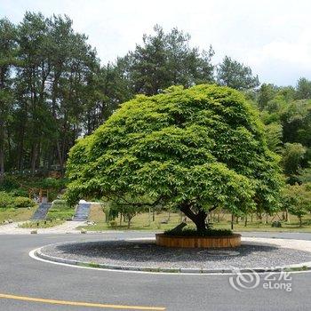 黄山徽州皖韵悦读主题酒店酒店提供图片