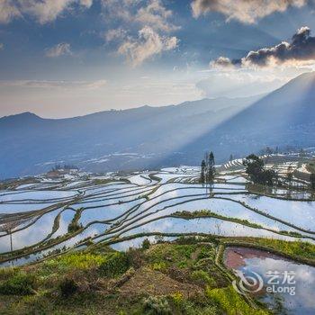 元阳路晟阳光客栈酒店提供图片