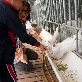 上海中新农业泰生示范农场酒店提供图片