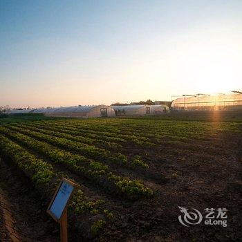 上海中新农业泰生示范农场酒店提供图片