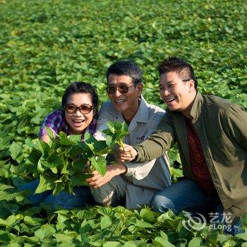 上海中新农业泰生示范农场酒店提供图片