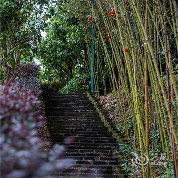 武夷山观景山房酒店提供图片