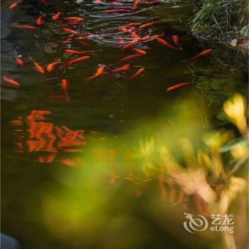 武夷山观景山房酒店提供图片