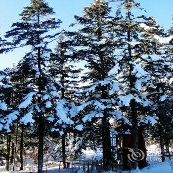 亚布力滑雪场中远农家院酒店提供图片