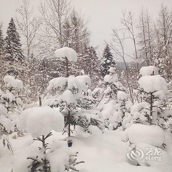 雪乡鲁洪涛家庭旅馆酒店提供图片