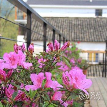 莫干山漫山居民宿酒店提供图片