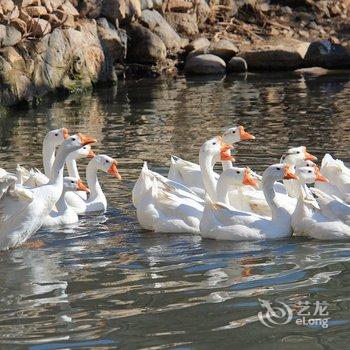 泰安梨园民宿酒店提供图片