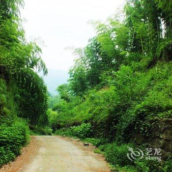 莫干山水墨山居游多多客栈酒店提供图片