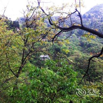 丹江口武当山顾氏驿站酒店提供图片