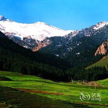 托里山星商务宾馆酒店提供图片