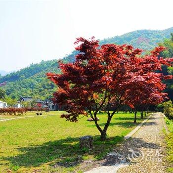 奉化徐凫岩房车度假露营地酒店提供图片