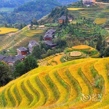 龙胜田园客栈酒店提供图片