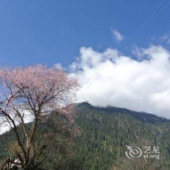 波密如果青旅酒店提供图片