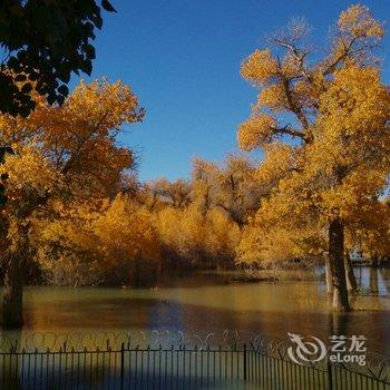 额济纳旗绣缘家庭宾馆酒店提供图片