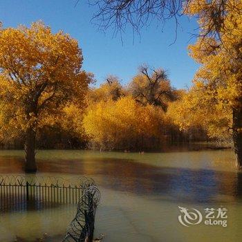 额济纳旗绣缘家庭宾馆酒店提供图片