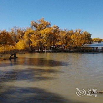 额济纳旗绣缘家庭宾馆酒店提供图片