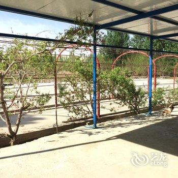 亲的客栈(敦煌青缘店)酒店提供图片