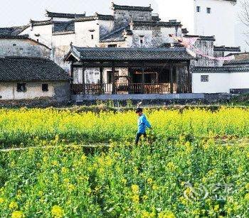 宏村徽宿客栈酒店提供图片