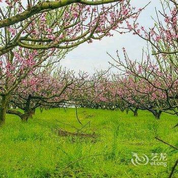 庐山西海温泉假日酒店酒店提供图片