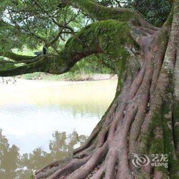 南靖云水谣青山绿水客栈酒店提供图片