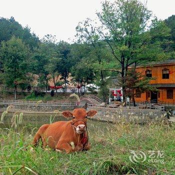 天柱山一方庄园酒店提供图片