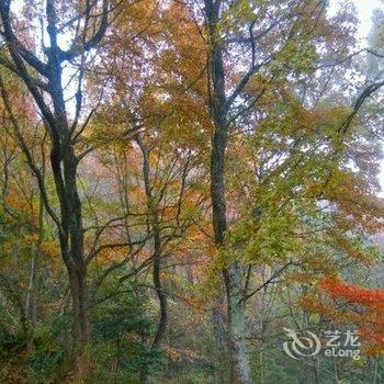 龙岩上杭香逸酒店式公寓酒店提供图片