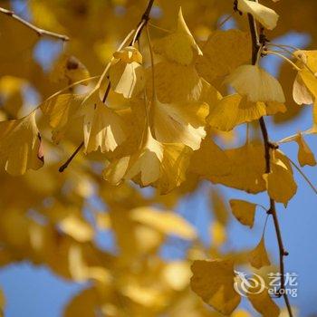 南雄悦杏客栈酒店提供图片