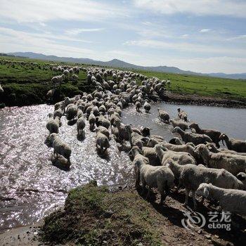 丰宁热情蒙哥假日庄园酒店提供图片