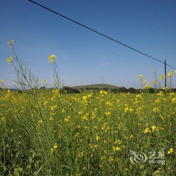 围场坝上青青草原家庭公寓酒店提供图片