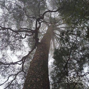 衡阳泉水湾农家乐酒店提供图片