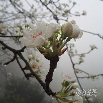 衡阳泉水湾农家乐酒店提供图片