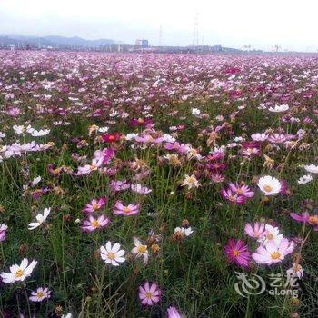 陵水香水湾海景度假公寓精选旅租酒店提供图片