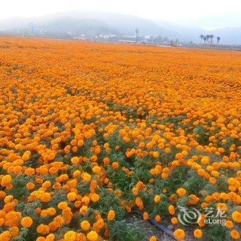 陵水香水湾海景度假公寓精选旅租酒店提供图片