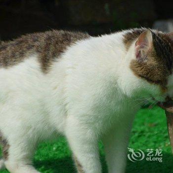 利川野牙青年旅舍酒店提供图片