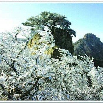 蒙阴蒙山怡景山庄酒店提供图片